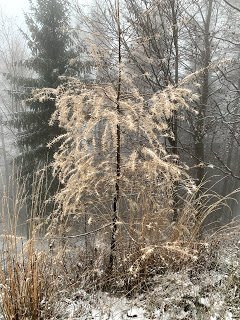 Jesienno-zimowo w drodze na Czupel