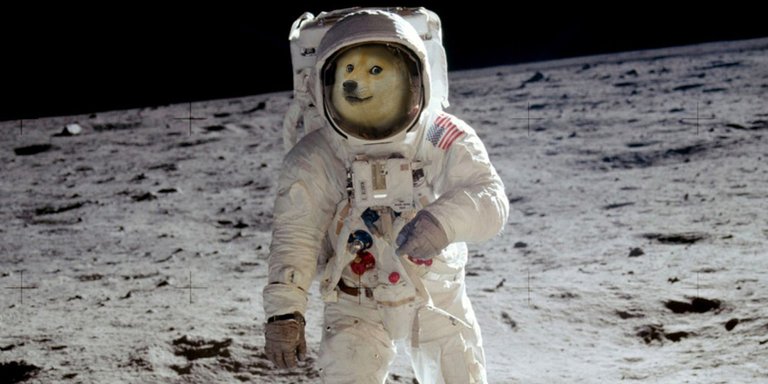 To the moon