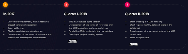 W12 ICO