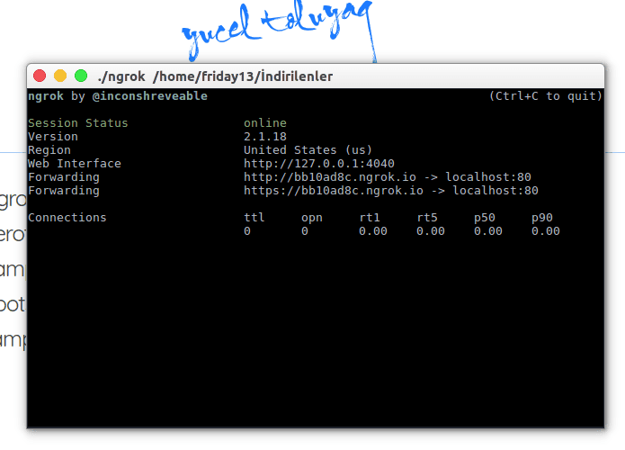 ngrok terminal