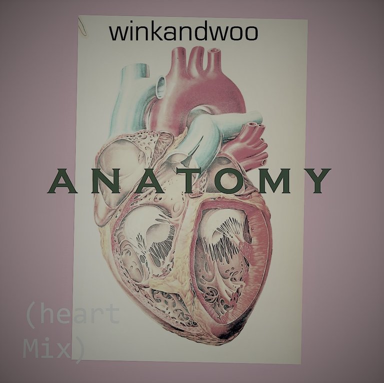 Anatomy by winkandwoo