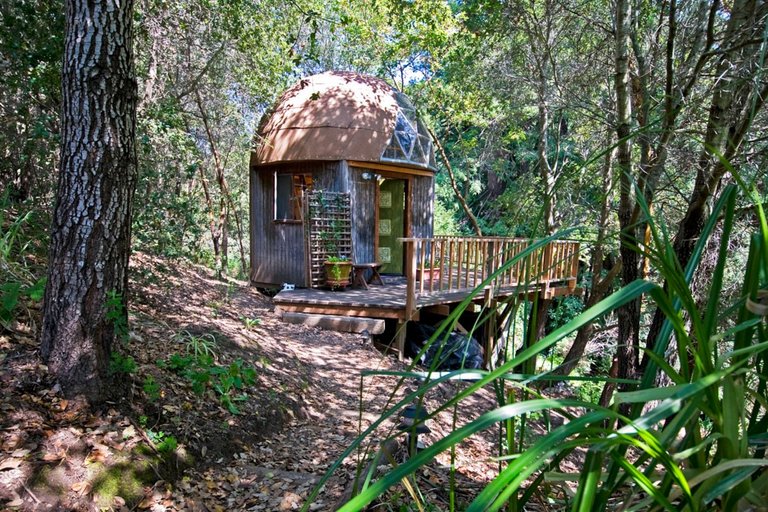 Mushroom Doom Cabin - eco friendly self catering 5