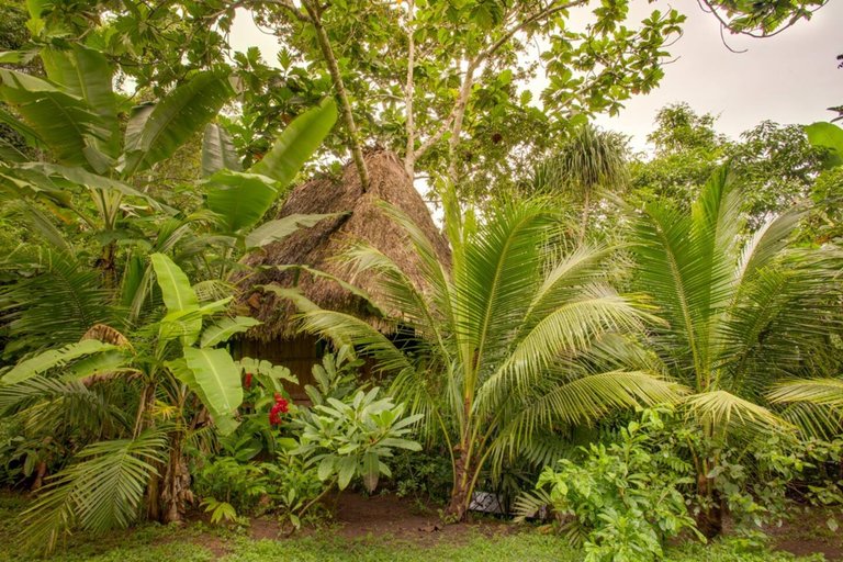 all-wood treehouse - green airbnb property 3