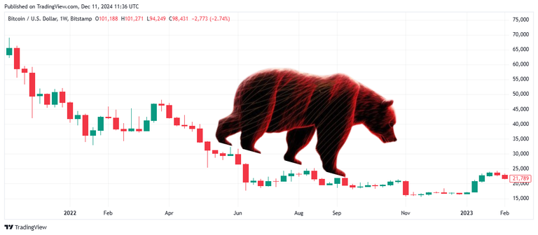 Bear Market