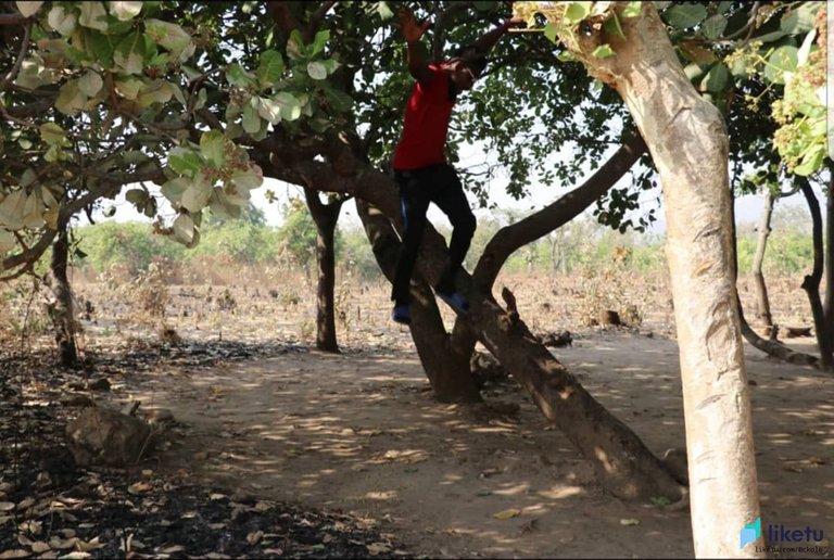 405opjwkz1y65sh_adventure 3.jpg