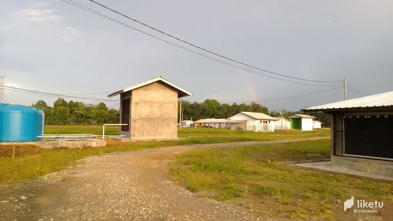 405opf19yz4l3dxrrid_WP_20131104_002.jpg