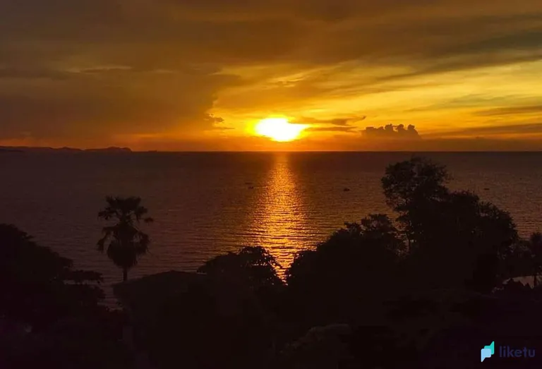 405opf20l139ttnr_samui-104u.jpg