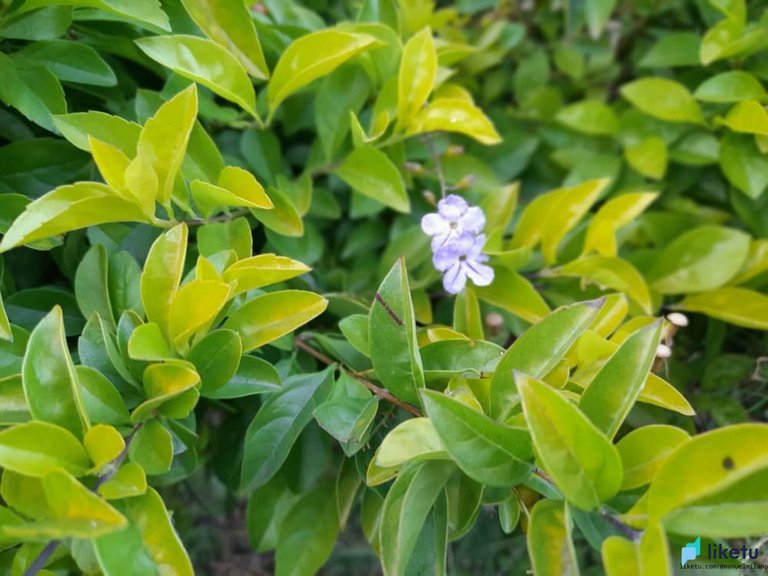 405opjpkyqfonx8_IMG-20220122-WA0109.jpg