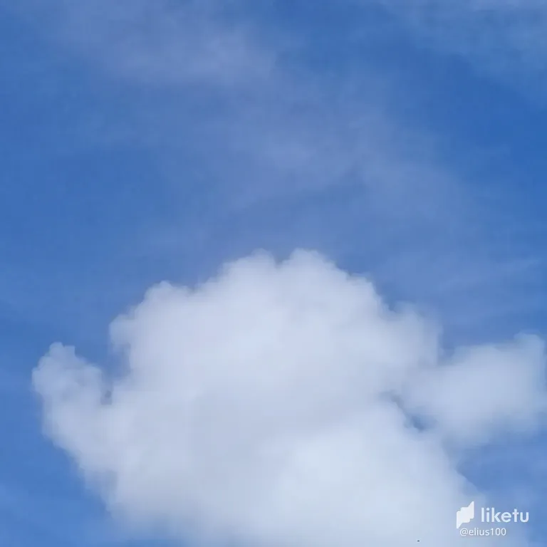 cl6ho7a1n00jw0wkf7ocv3ret_20220806_142456.webp