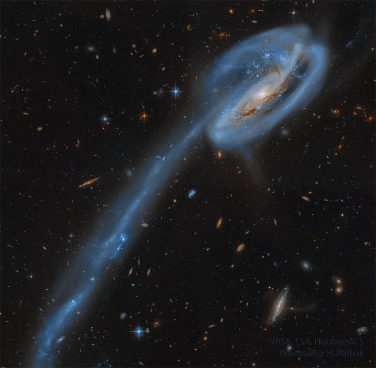 The Tadpole Galaxy from Hubble