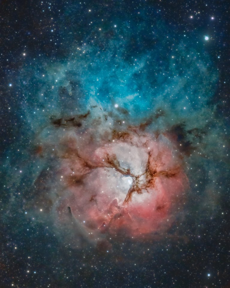 A Beautiful Trifid