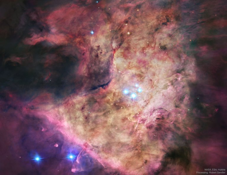 Trapezium: In the Heart of Orion