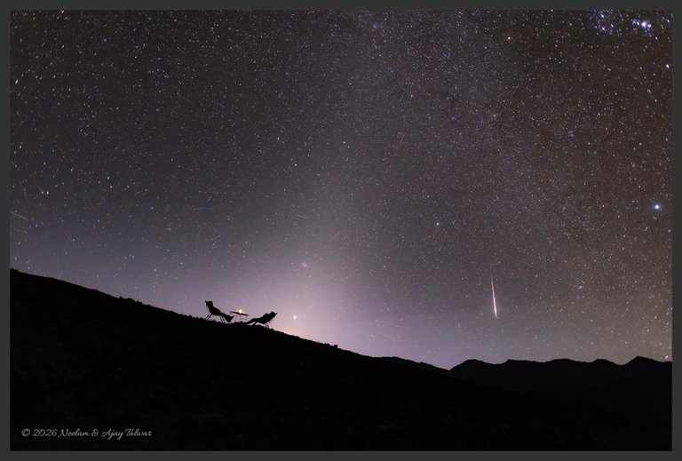 A Zodiacal Night
