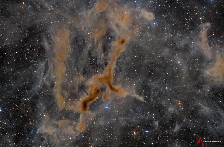 LDN 1295: The Giraffe Nebula