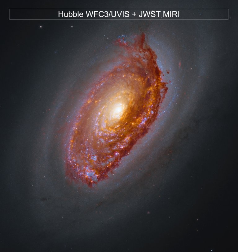 Webb's View of M64