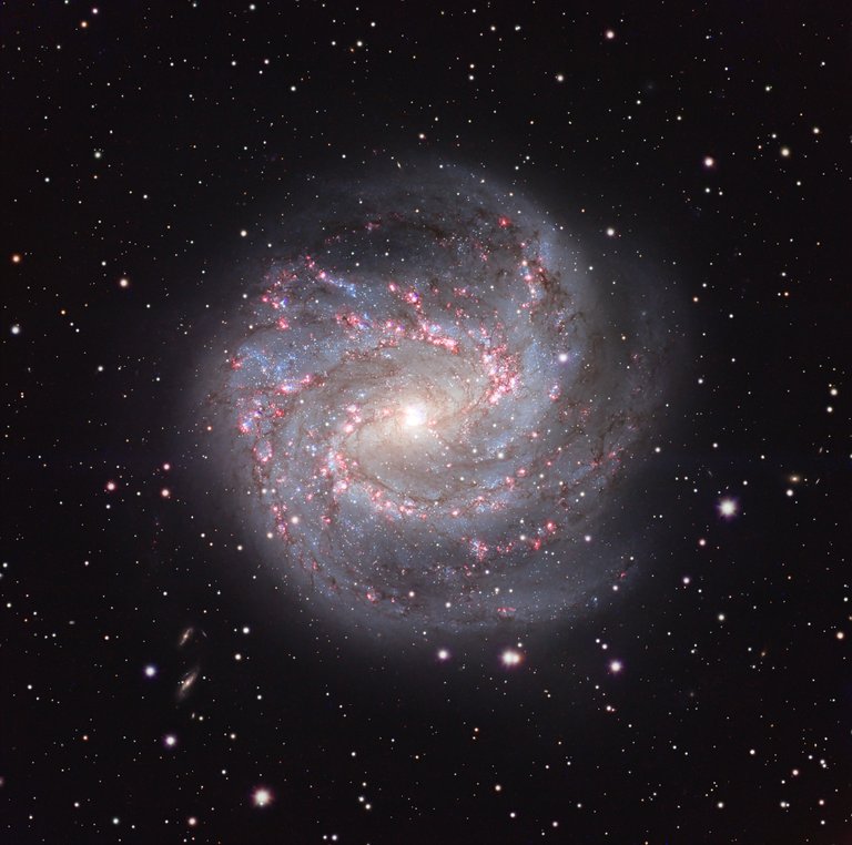 M83: The Southern Pinwheel