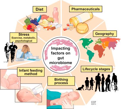 Factors contributing to gut microbiomes formation