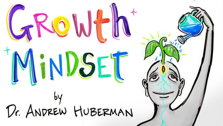 How Feedback Affects Performance - Andrew Huberman - Growth Mindset