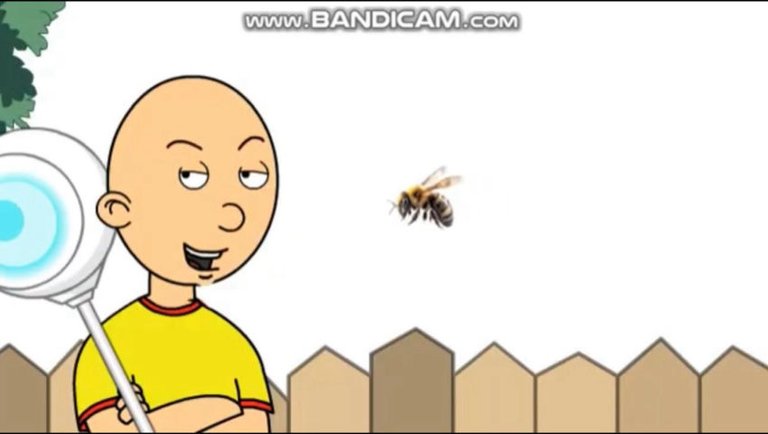 Caillou Turns Rosie Into A Bee/Grounded
