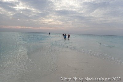 abendessen-am-strand-5