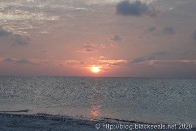 abendessen-am-strand-7