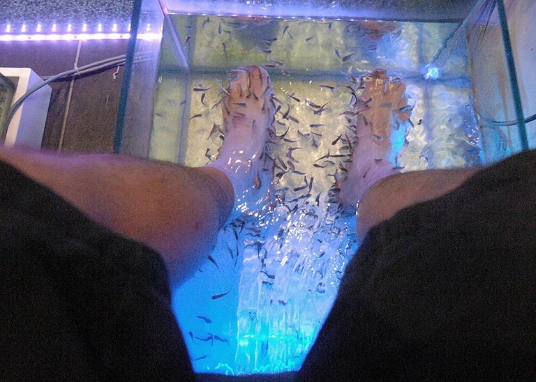 Fish Spa Kuala Lumpur