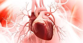 Congenital heart disease in adults