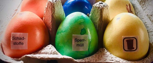 High-Tech im Hühnerstall: KI enttarnt Eierfälscher