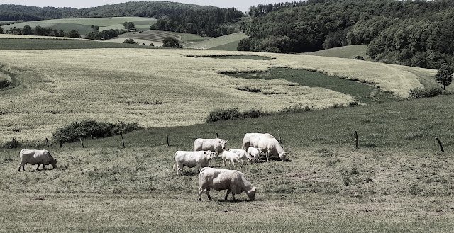 Patriastalgie: Wenn Heimatverlust schmerzhaft wird