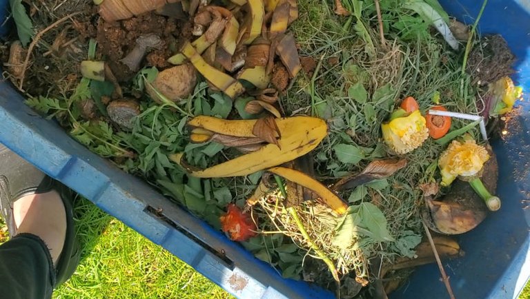 Garden Hustles