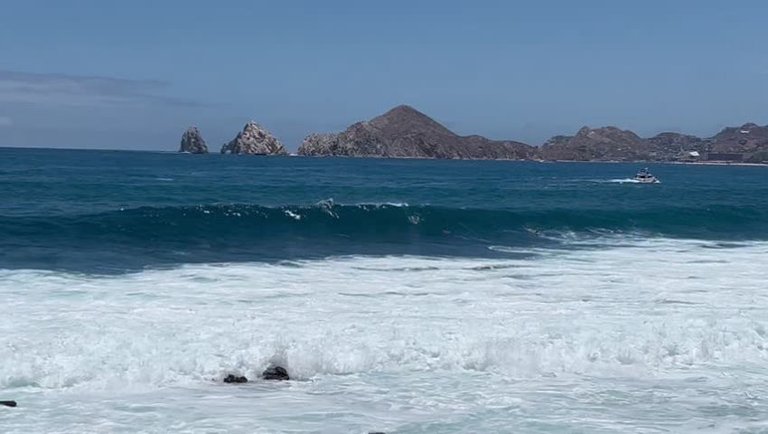 Surfs Up 🤙 at the ‘Wheel of Shred’ 🇲🇽🌊🏖️