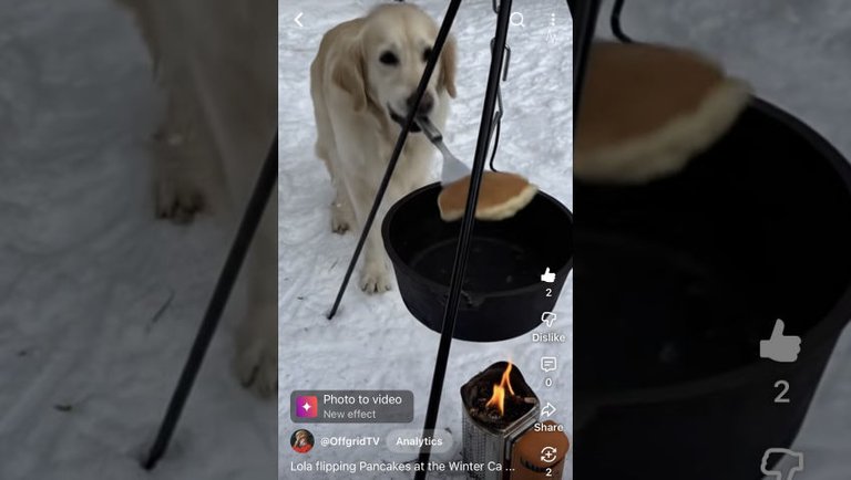 Lola Flipping Pancakes - Experiments with YouTube AI