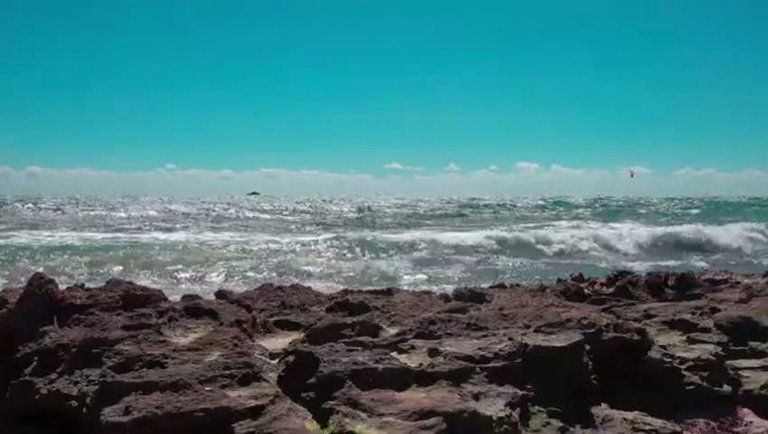 10-Minute Midweek Reset • Relaxing Beach Waves & Wind Ambience