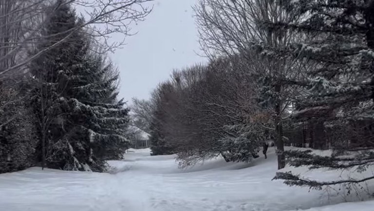 Snow Day with Lola  #sportstalk