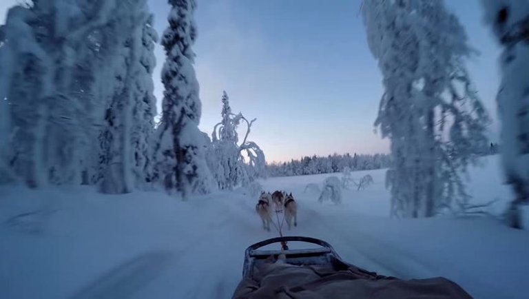 sled fun