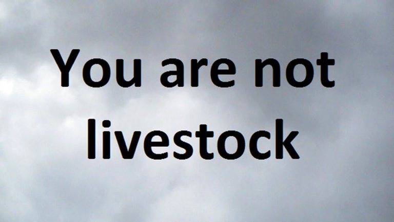 You are not livestock