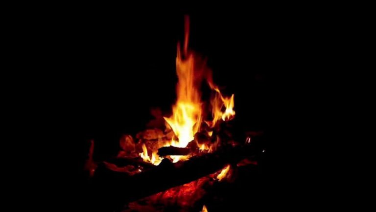 Cozy Night Bonfire in the Quiet Forest | Sleep, Relax, Study Ambience #WednesdayZenDay #bonfires