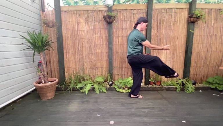 Tai Chi： Snake Creeps Through Grass to Golden Rooster