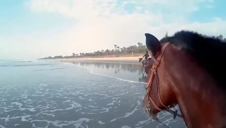 Horeseback riding on the beach