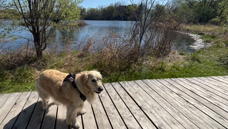 Beautiful Spring day on the River