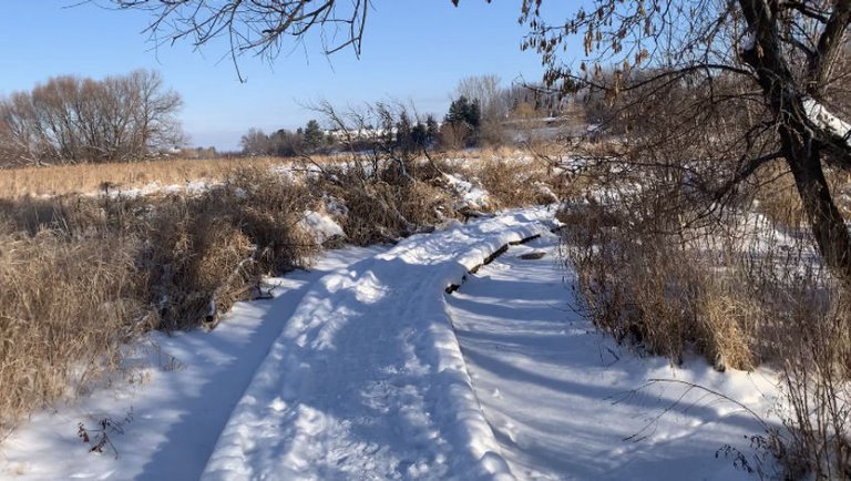 Winter Morning walk in the crunchy snow