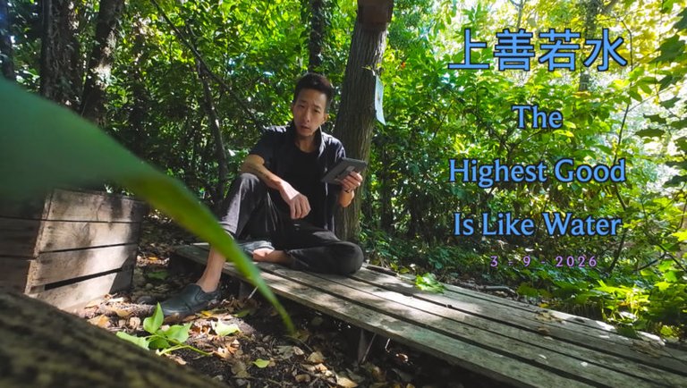 上善若水 / The Highest Good Is Like Water