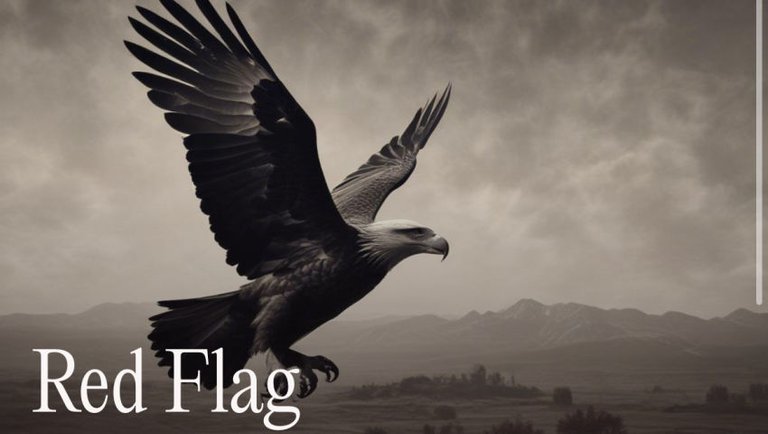 SportsTalkSocial Heavy Metal Radio : A Red Flag for America