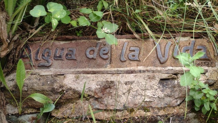 "Water of Life" mountain spring!