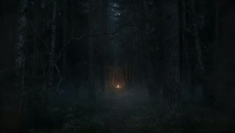 Night in the Witches Woods _ 10 Minute Spooky Ambience