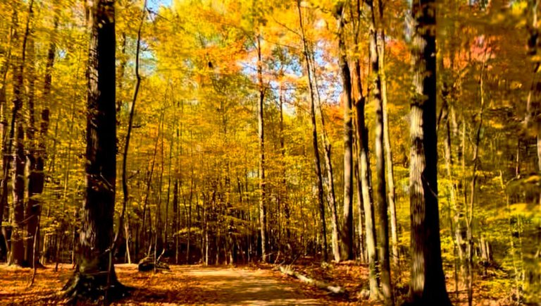 Autumn  bike ride through Sleepy Hollow  🚲 🎃