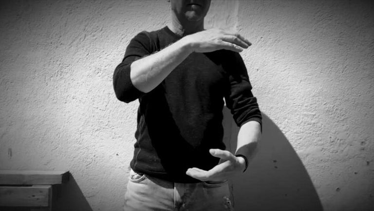 The 5 Basic Hand positions in Tai Chi