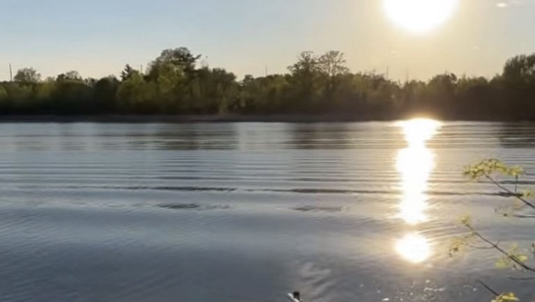 Down to the River