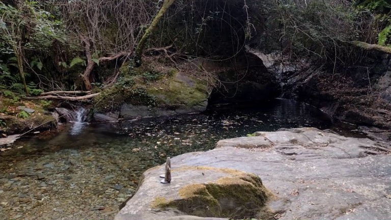 Sacred Place in the Forest