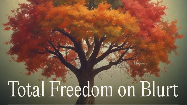 SportsTalkSocial.com Freedom Radio  - Blurt !